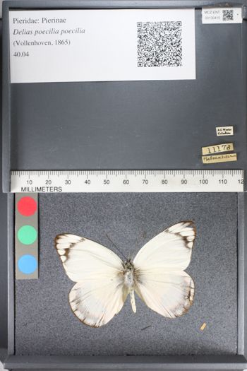 Media type: image;   Entomology 130410